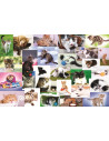 Puzzle Trefl 60 O Lume A Pisicilor,17332