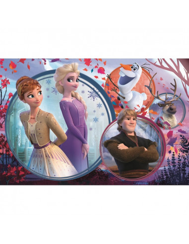 Puzzle Trefl 160 Universul Frozen2,15374
