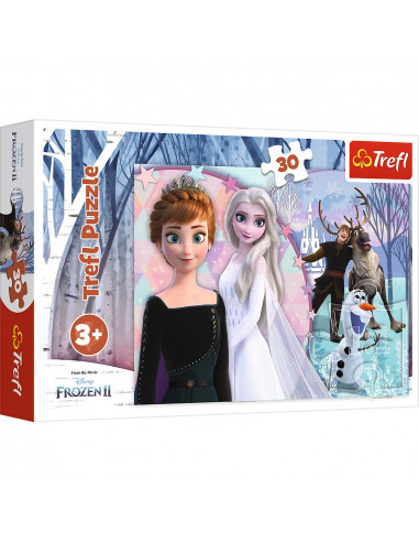 Puzzles 30 Magical Frozen,18275
