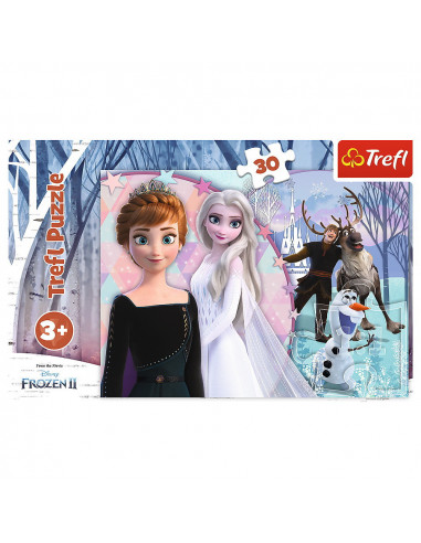 Puzzles 30 Magical Frozen,18275
