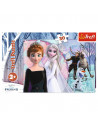 Puzzles 30 Magical Frozen,18275