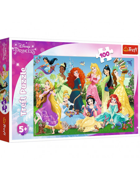 Puzzle 100 Printesele Sarmante,16417