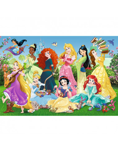 Puzzle 100 Printesele Sarmante,16417