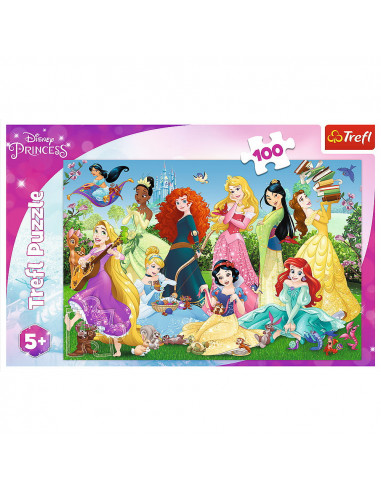 Puzzle 100 Printesele Sarmante,16417