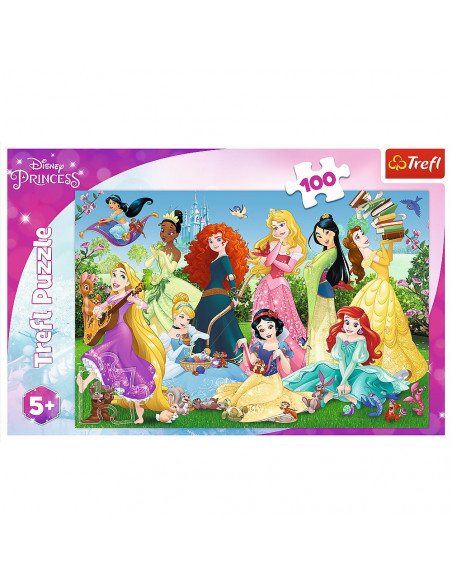 Puzzle 100 Printesele Sarmante,16417