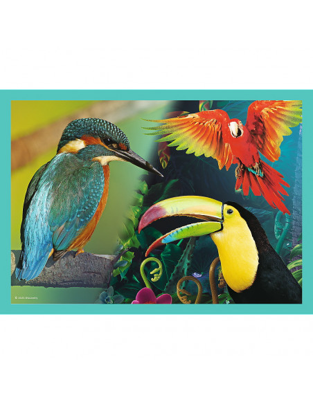 Puzzle Trefl 4in1 Animal Planet - Misterioasa Lumea A