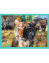 Puzzle Trefl 4in1 Animal Planet - Misterioasa Lumea A