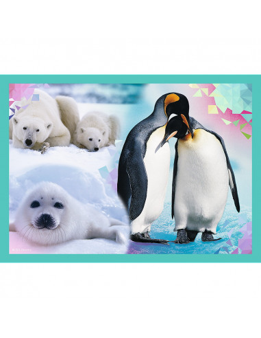 Puzzle Trefl 4in1 Animal Planet - Misterioasa Lumea A