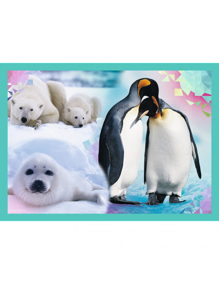 Puzzle Trefl 4in1 Animal Planet - Misterioasa Lumea A