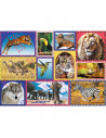 Puzzle Trefl 1000 Natura Salbatica,10673