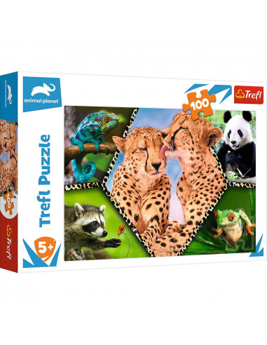 Puzzle Trefl 100 Natura Frumoasa,16424