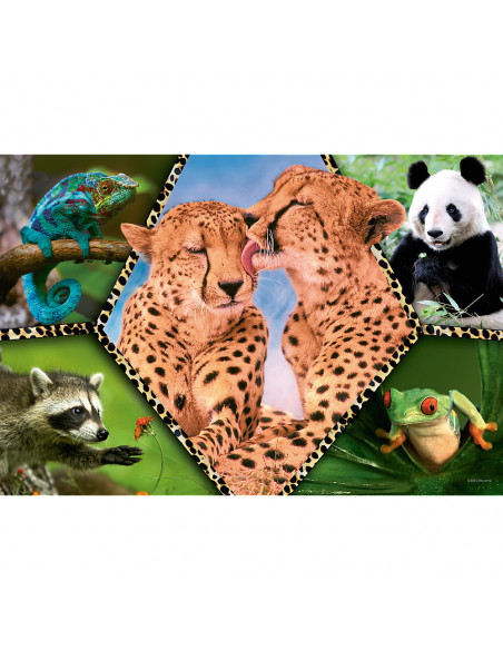 Puzzle Trefl 100 Natura Frumoasa,16424