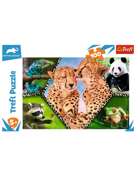 Puzzle Trefl 100 Natura Frumoasa,16424