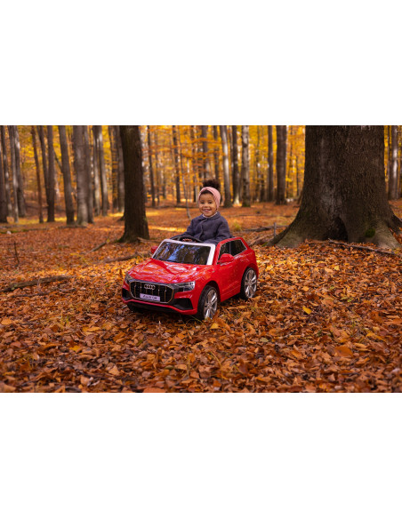 Masinuta electrica cu telecomanda Toyz AUDI Q8 RS