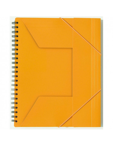 Caiet cu spirala A4+ OXFORD International Organiserbook, 80