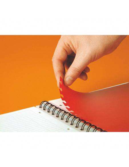 Caiet cu spirala A4+ OXFORD International Filingbook, 100 file