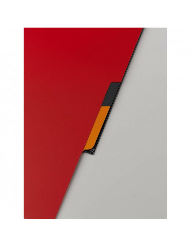 Caiet cu spirala A4+ OXFORD International Filingbook, 100 file