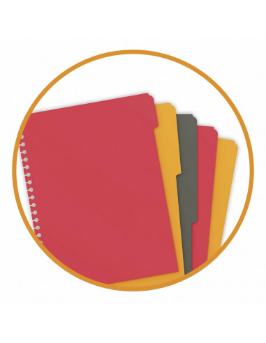 Caiet cu spirala A4+ OXFORD International Managerbook, 80 file