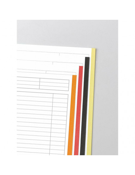 Caiet cu spirala A4+ OXFORD International Filingbook, 100 file