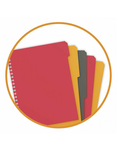 Caiet cu spirala A4+ OXFORD International Managerbook, 80 file
