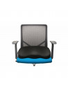 Pernuta ergonomica Kensington, pentru scaun, spuma cu memorie
