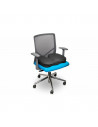 Pernuta ergonomica Kensington, pentru scaun, spuma cu memorie