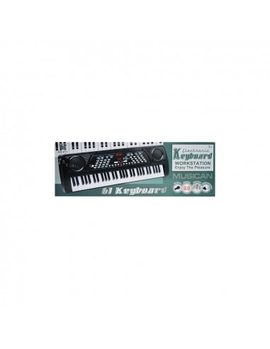 Orga cu baterii, 61 clape,ROB-SD-611