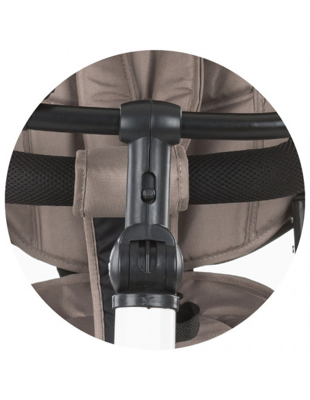 Tricicleta cu copertina si sezut reversibil Chipolino Max Relax