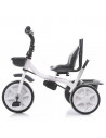 Tricicleta Chipolino Carretera graphite,TRKCA0201GT
