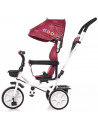 Tricicleta Chipolino Carretera orchid,TRKCA0203OR