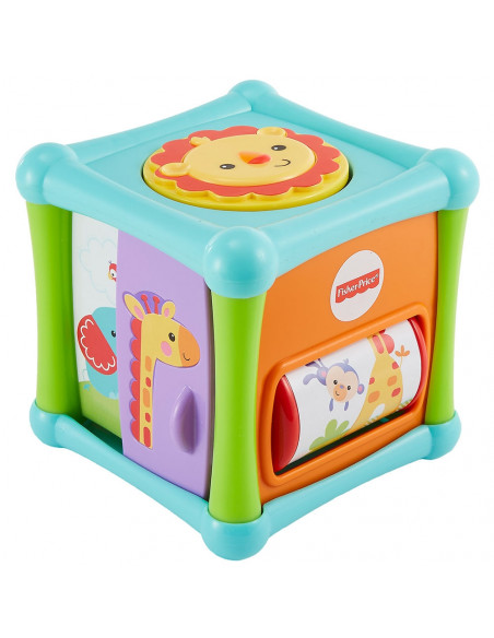 Cub cu activitati Fisher Price by Mattel Infant