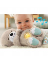 Jucarie plus Fisher Price by Mattel Newborn Vidra,MT-FXC66