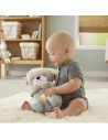 Jucarie plus Fisher Price by Mattel Newborn Vidra,MT-FXC66