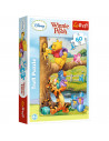 Puzzle Trefl Disney Winnie the Pooh, O mica atentie 60