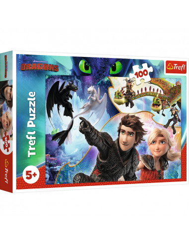 Puzzle Trefl DreamWorks Dragons, Pe taramul dragonilor 100