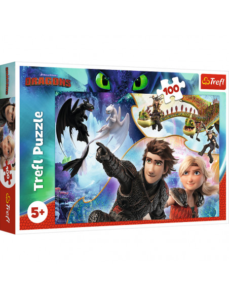 Puzzle Trefl DreamWorks Dragons, Pe taramul dragonilor 100
