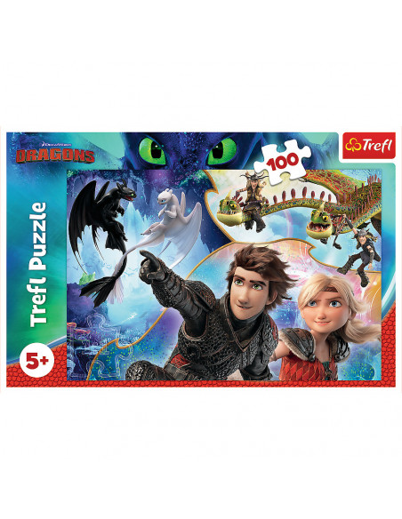 Puzzle Trefl DreamWorks Dragons, Pe taramul dragonilor 100