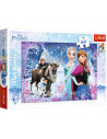 Puzzle Trefl Disney Frozen, Aventura iernii 160 piese,TR-15344