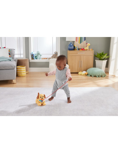 Fisher Price Catelus Adorabil,MTH9447