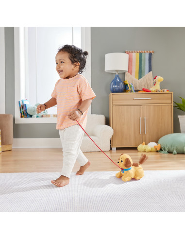 Fisher Price Catelus Adorabil,MTH9447