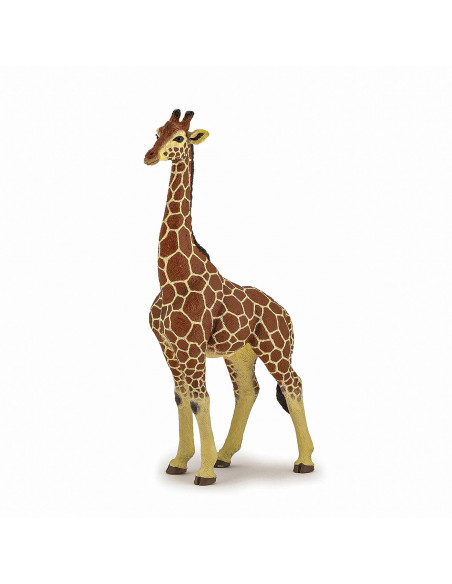 Papo Figurina Girafa Mascul,Papo50149