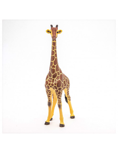 Papo Figurina Girafa Mascul,Papo50149