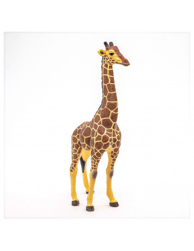 Papo Figurina Girafa Mascul,Papo50149