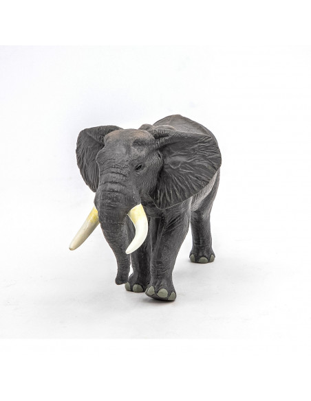 Papo Figurina Elefantul African,Papo50192