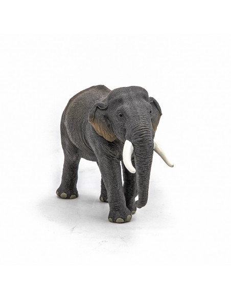 Papo Figurina Elefant Asiatic,Papo50131