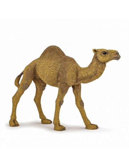 Papo Figurina Dromader,Papo50151