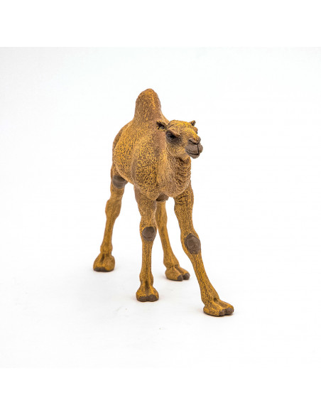 Papo Figurina Dromader,Papo50151