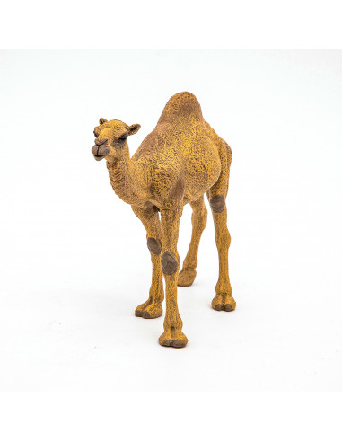 Papo Figurina Dromader,Papo50151