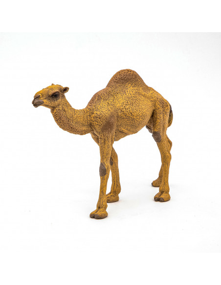 Papo Figurina Dromader,Papo50151