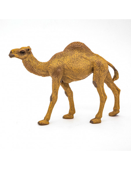 Papo Figurina Dromader,Papo50151